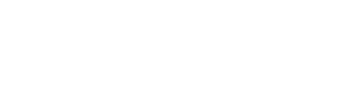 Rebel Store