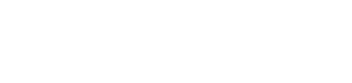 Rebel Store