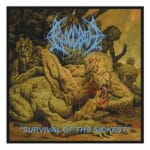 Нашивка Bloodbath - Survival Of The Sickest